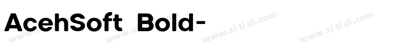 AcehSoft Bold字体转换